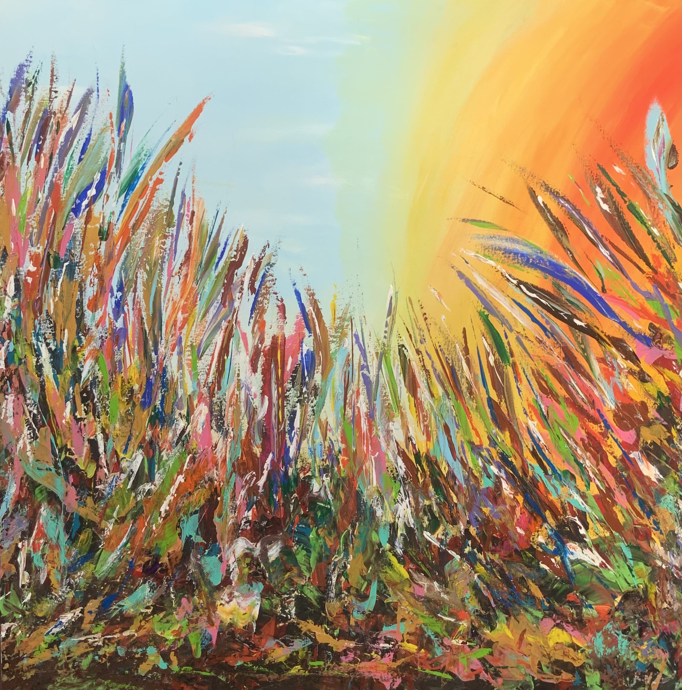 Flowerfield in Motion