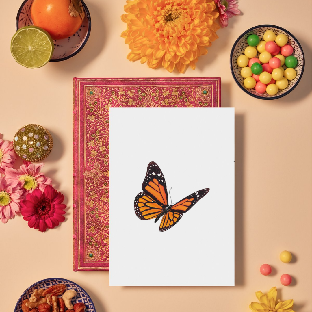 Orange  Butterfly 