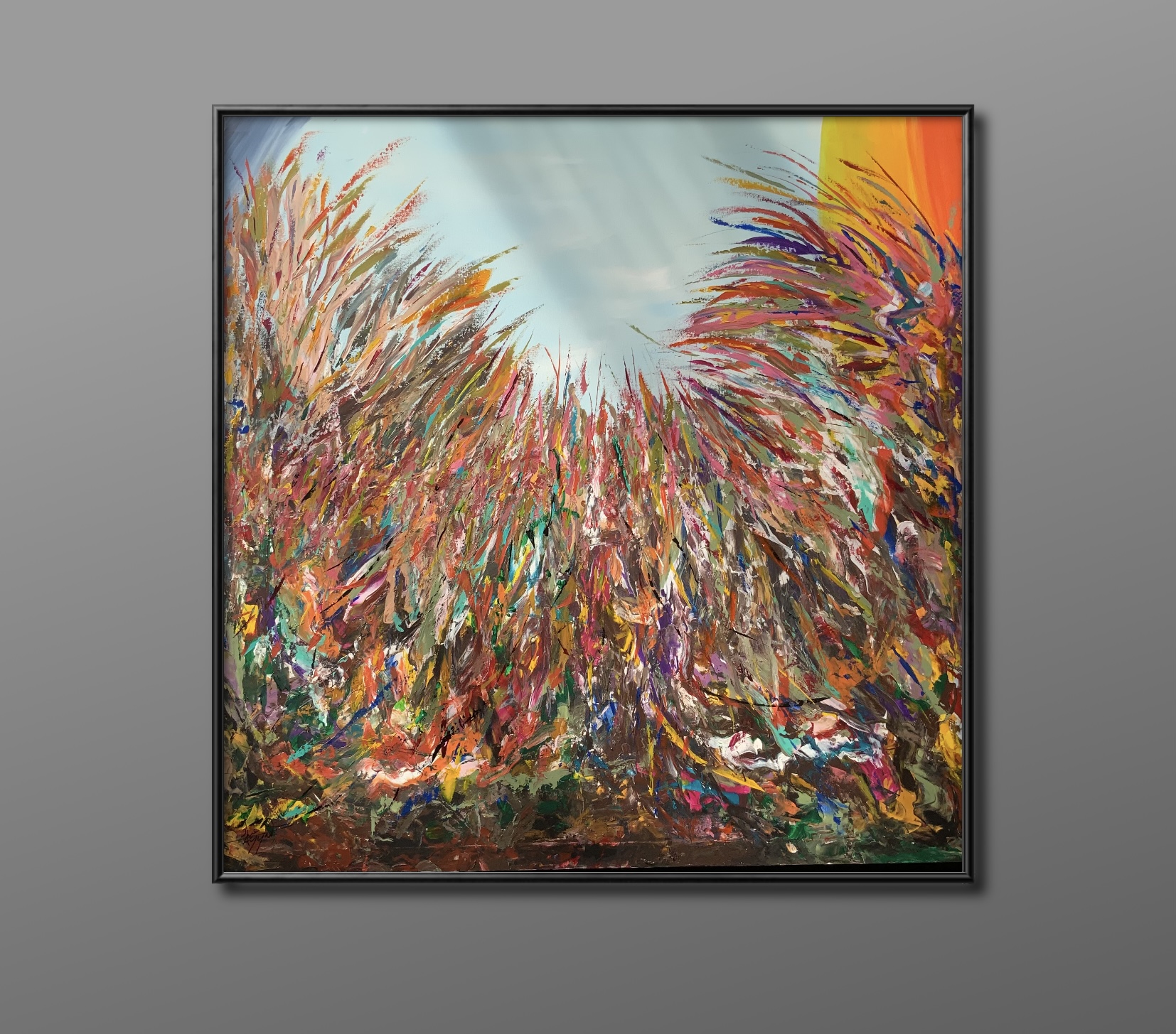 Symphony of Colors