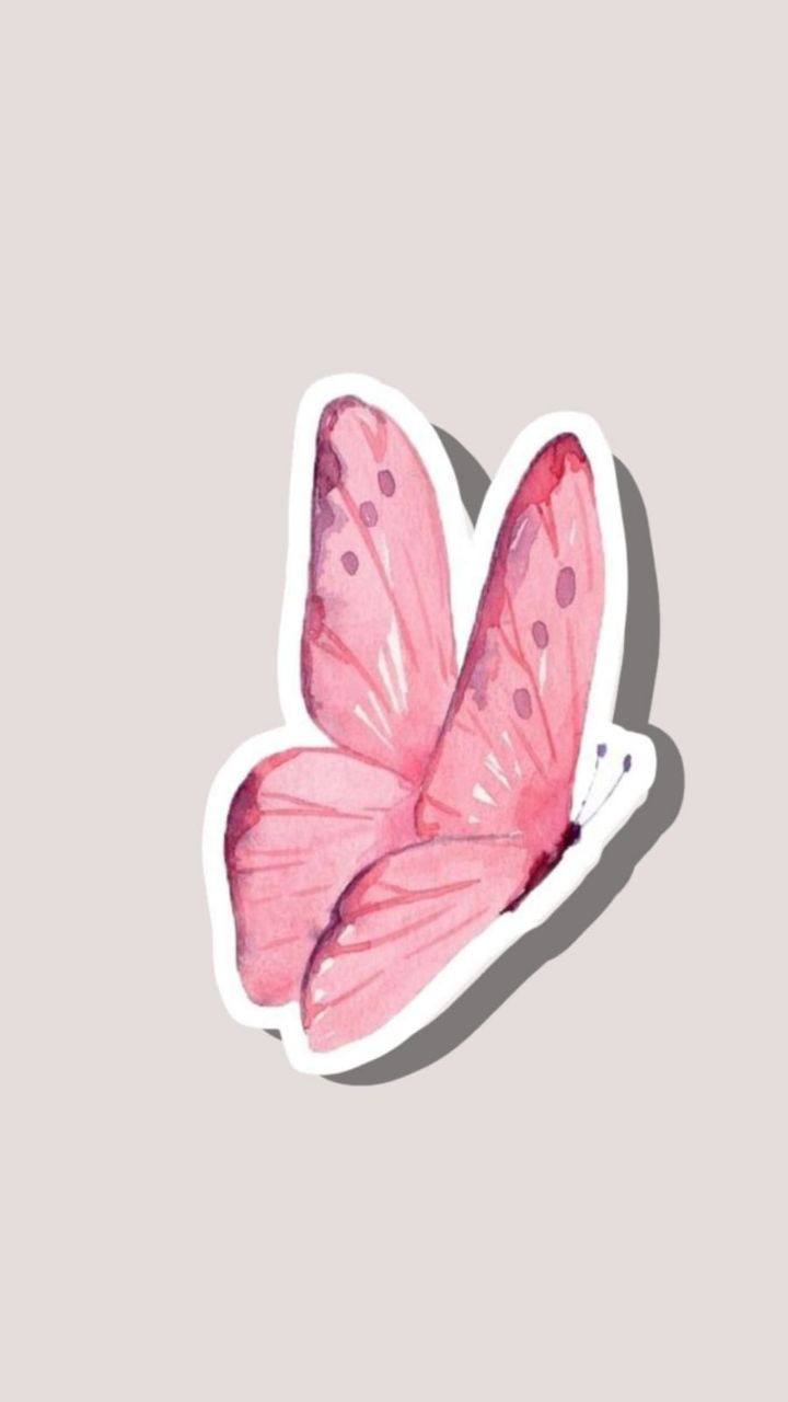 Pink butterfly 