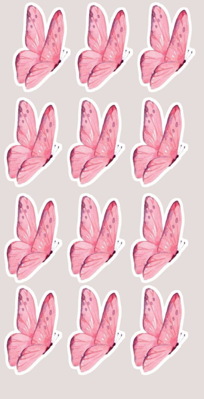 Pink butterfly 