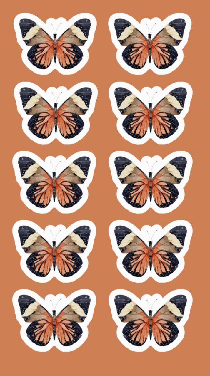 Orange butterfly