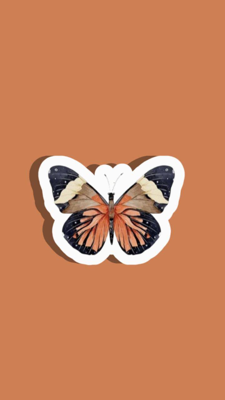 Orange butterfly