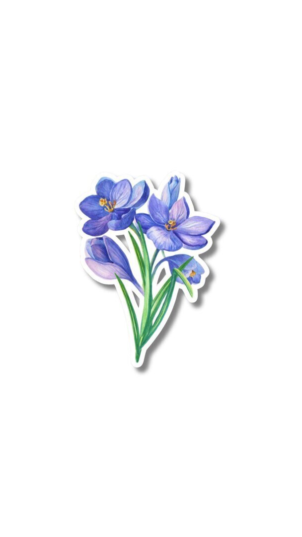 Purple flower