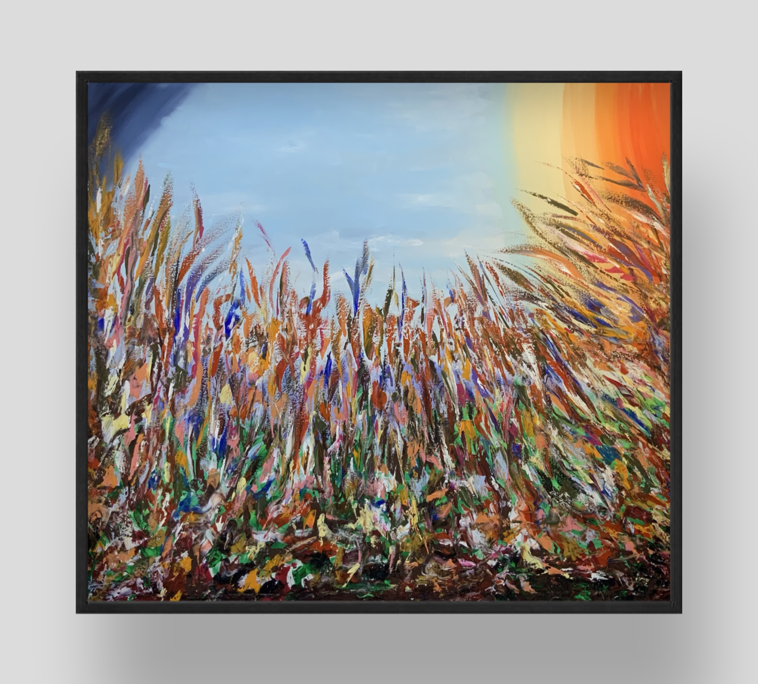 موسم التفتح في حقل الألوان